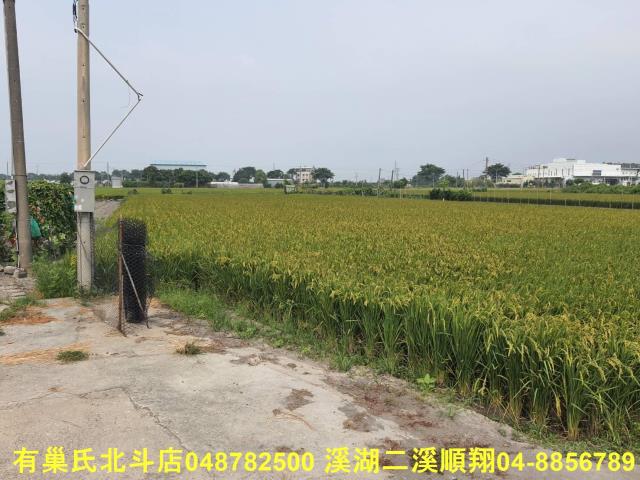 埤頭農地-1
