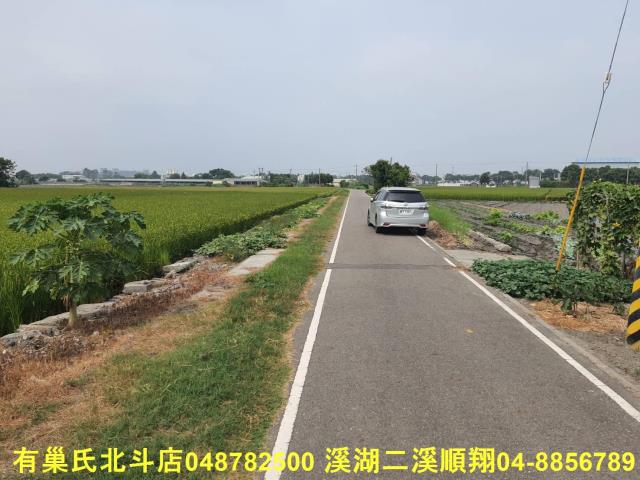 埤頭農地-2