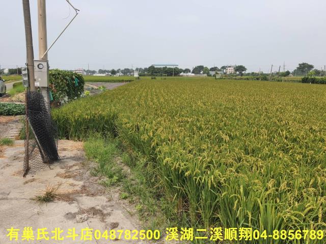埤頭農地-6
