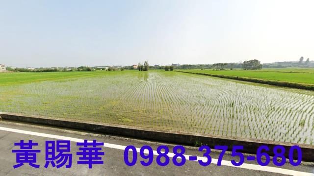新屋農地-6