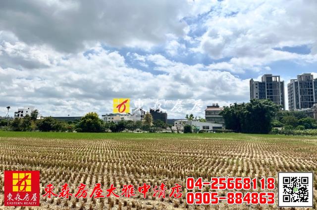 台中大雅農地-2