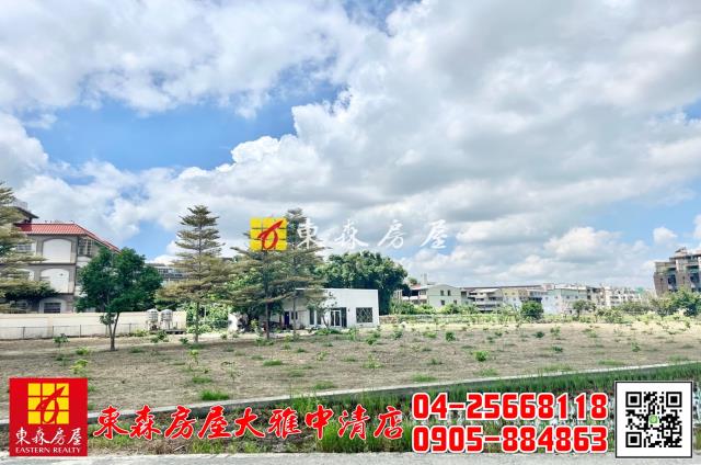 台中大雅農地-4