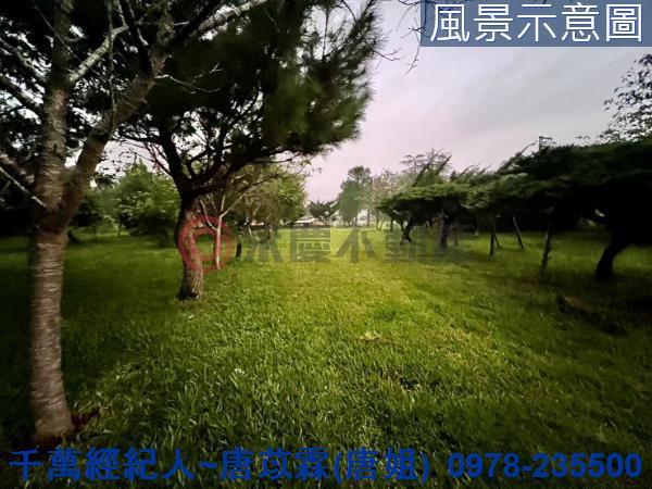 新竹關西農地-1