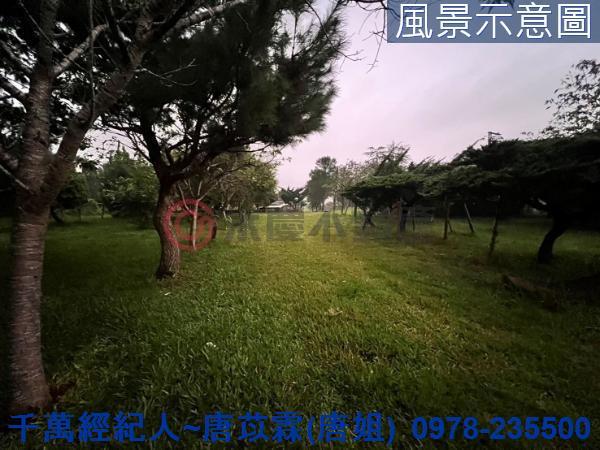新竹關西農地-2
