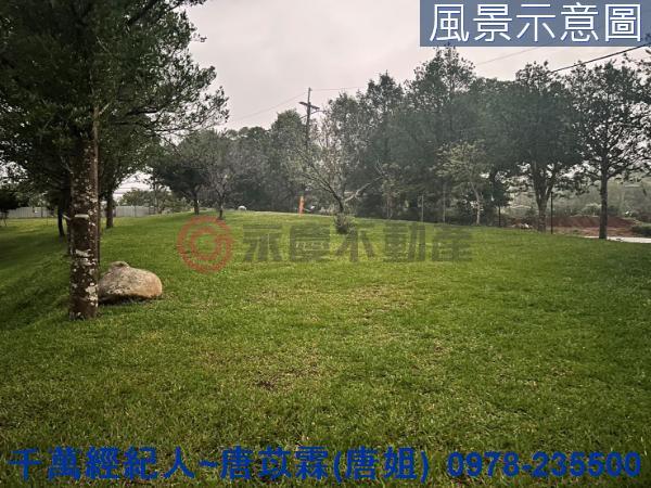 新竹關西農地-4