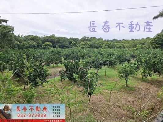 苗栗苗栗市農地-1