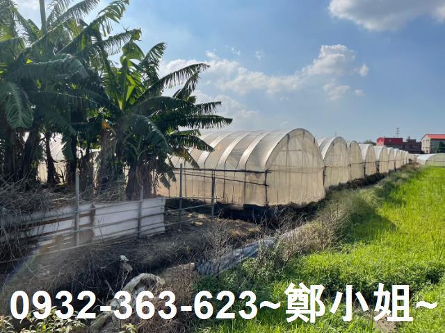 桃園農地-4