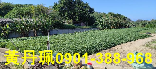 桃園農地-2