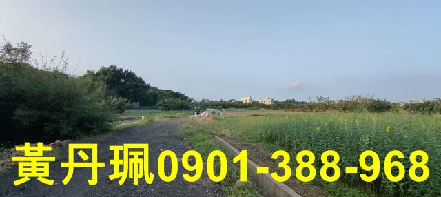 桃園農地-4