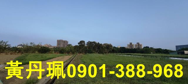 桃園農地-5