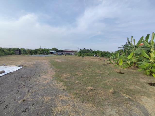 台南安南農地-10