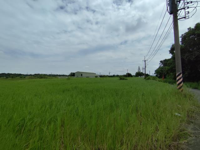 台南仁德農地-2