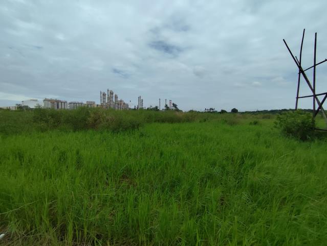 台南仁德農地-3