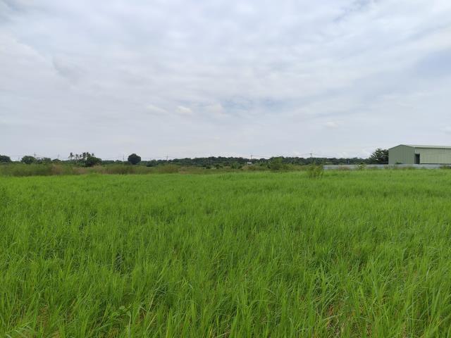 台南仁德農地-4