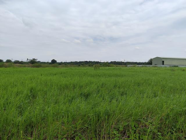 台南仁德農地-5