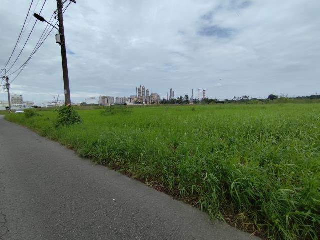 台南仁德農地-8
