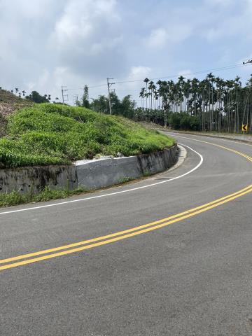 南投竹山農地-3