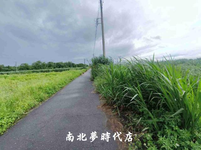 台南善化農地-7