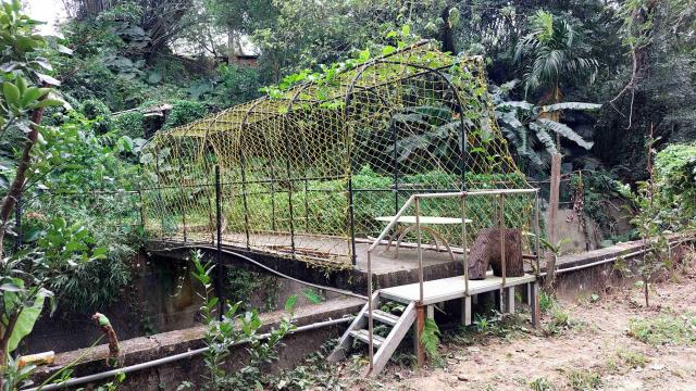 新竹峨眉農地-6