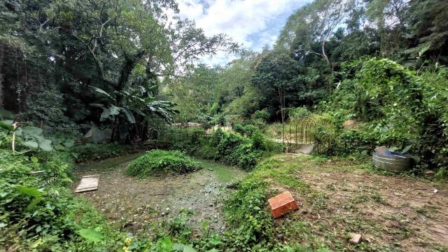 新竹峨眉農地-7