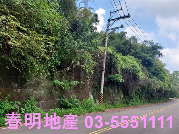 頭份林地-1