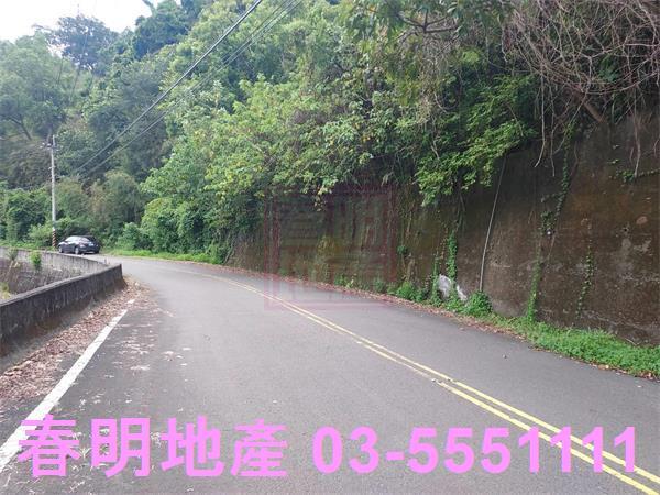 頭份林地-3
