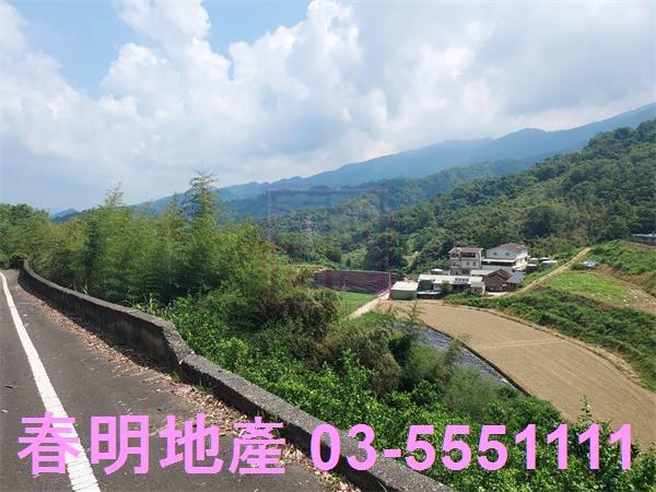 頭份林地-5