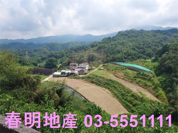 頭份林地-6