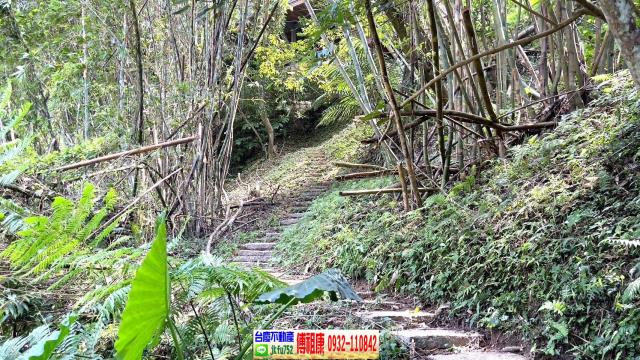 新竹林地-14