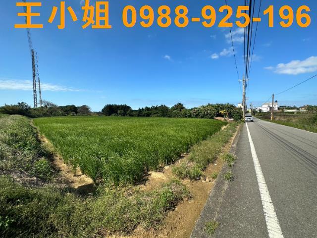 桃園新屋農地-2