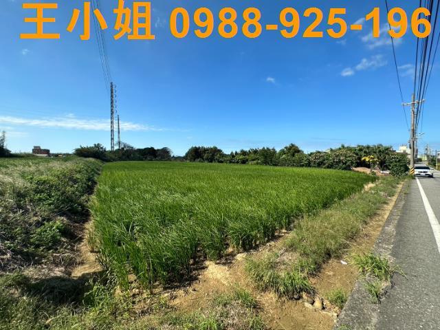 桃園新屋農地-5