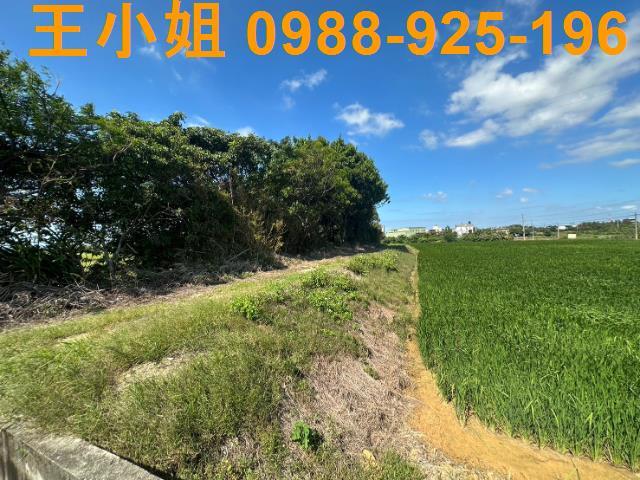 桃園新屋農地-7