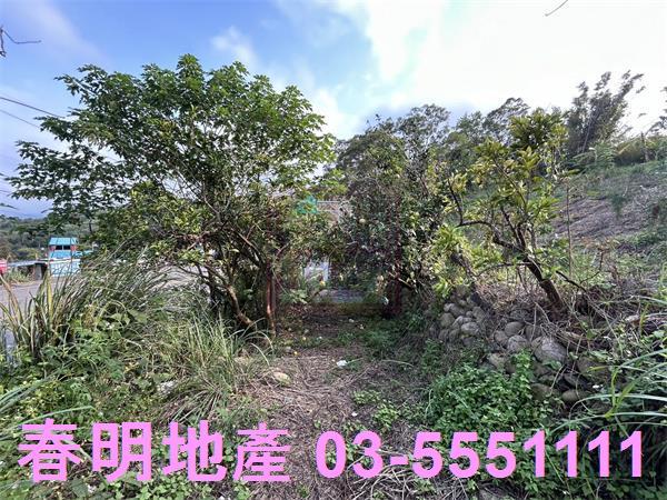 新竹峨眉農地-4