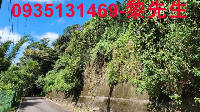 新竹芎林林地-12