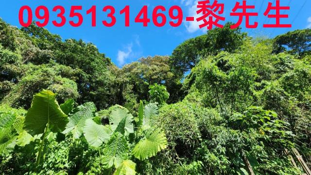 新竹芎林林地-2