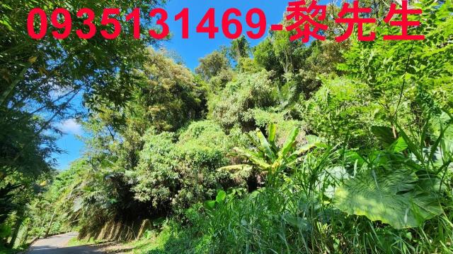 新竹芎林林地-5