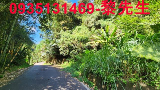 新竹芎林林地-9
