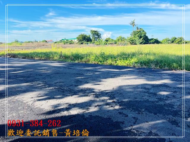 黃培倫的店鋪