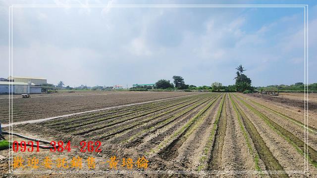 安定管寮美農地