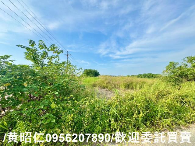 台南農地-2