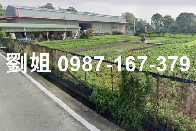 高雄大寮農地-1