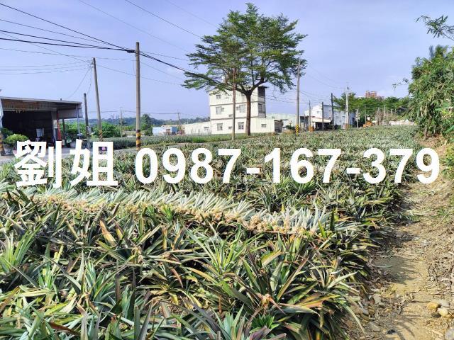 高雄大樹農地-1