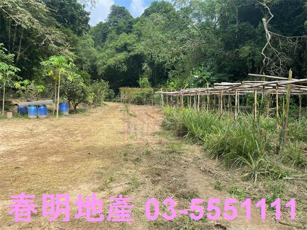 新竹峨眉農地-3
