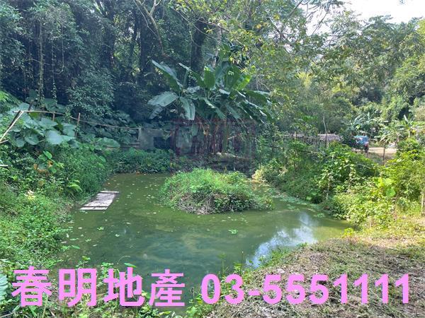 新竹峨眉農地-9