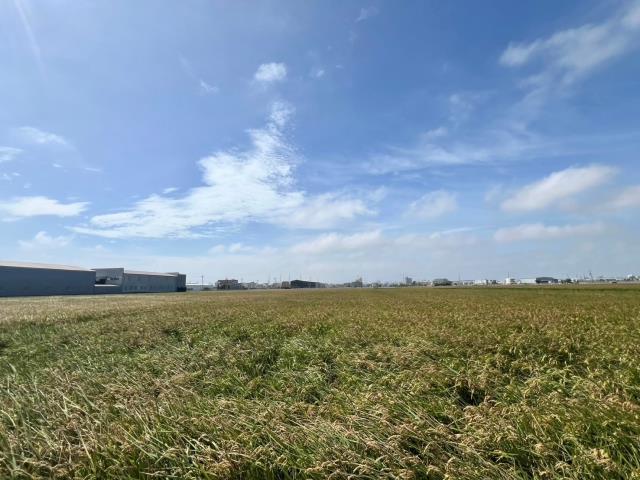 龍井農地-5