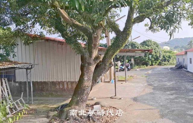 楠西農地-13