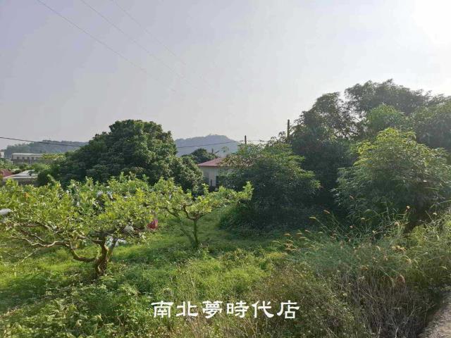 楠西農地-15