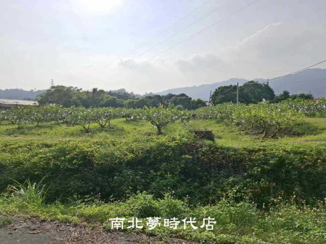 楠西農地-2