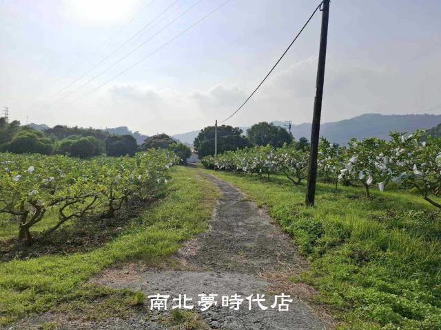 楠西農地-4