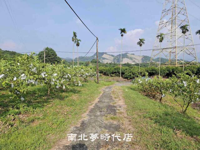 楠西農地-6